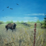 Prairie Buffalo By Cathy Martin