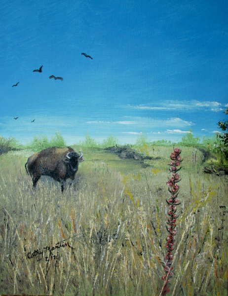 Prairie Buffalo By Cathy Martin