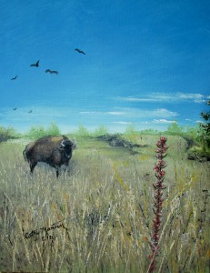 Oil painting of Prairie Buffalo by Cathy Martin